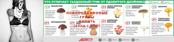 спиды Абаза
