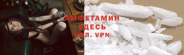 спиды Абаза