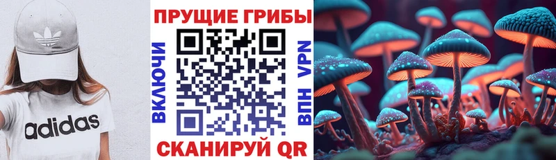 мориарти Telegram хочу ссылка на мегу ссылка Шали Галлюциногенные грибы мицелий
