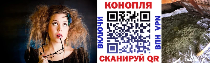 Бошки марихуана THC 21%  купить закладку  Шали 